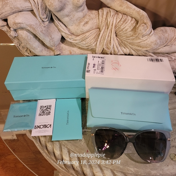 Tiffany & Co. TF4190 Cat Eye Sunglasses Luxury Designer Oversized Celebrity #21 - Picture 8 of 17